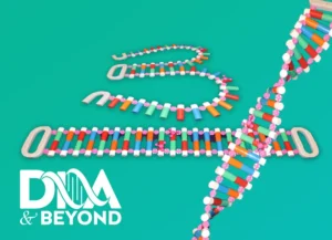 Dynamic DNA Model 3 FT