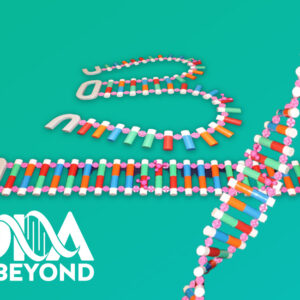 Dynamic DNA Model 3 FT